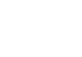 Valkeakosken kaupunki logo