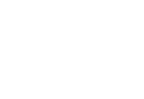 Walki logo