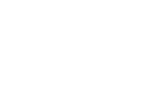 Valmet logo